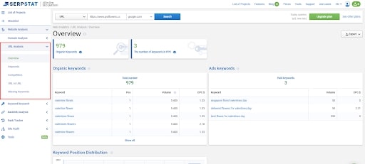 keyword overview